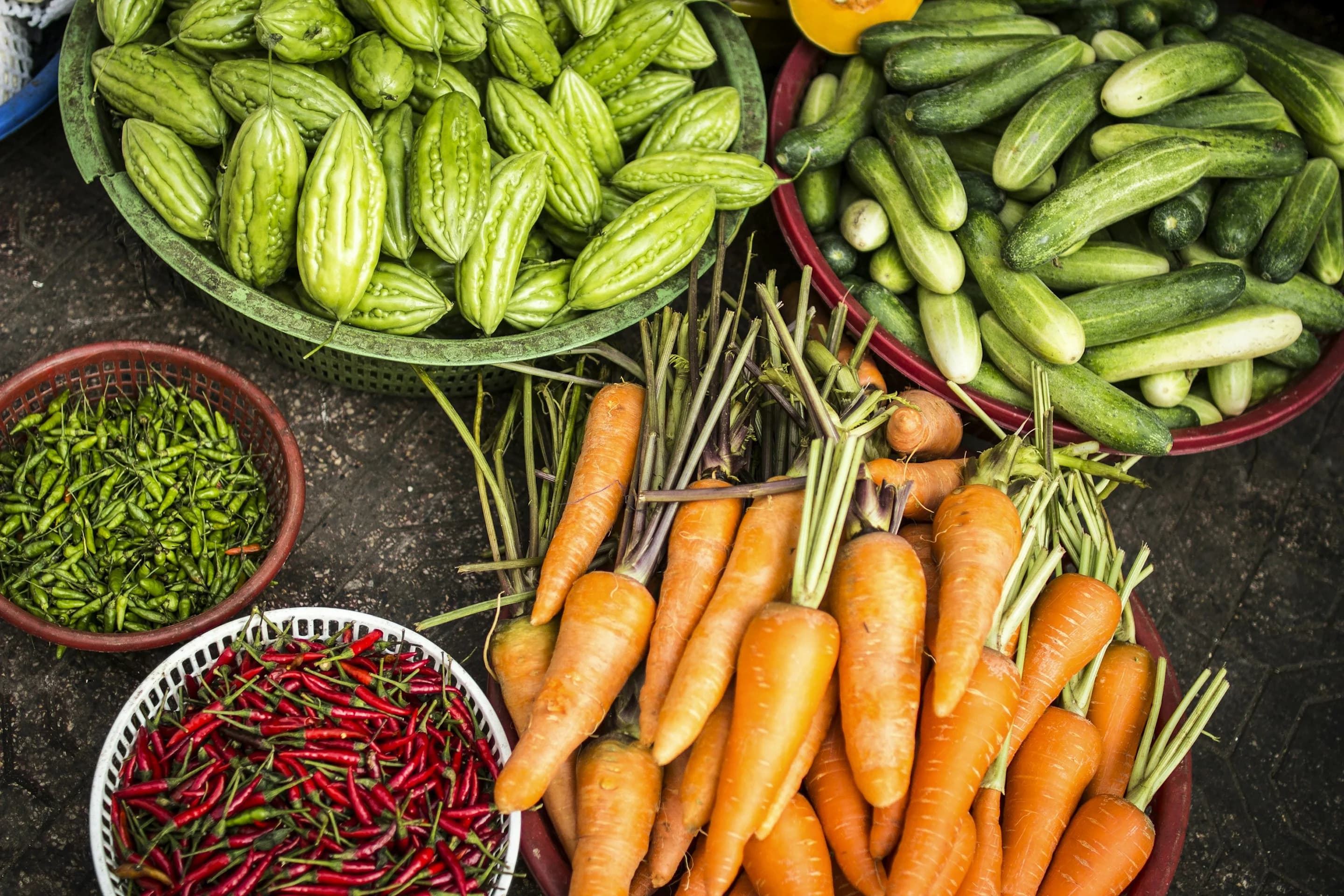 Organic Farm