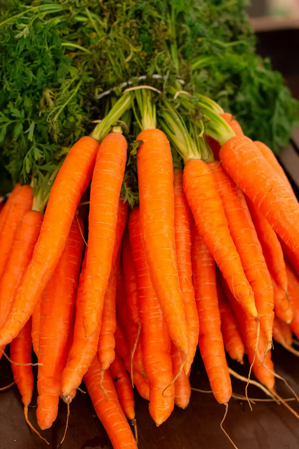 Export-grade Pakistani commodities