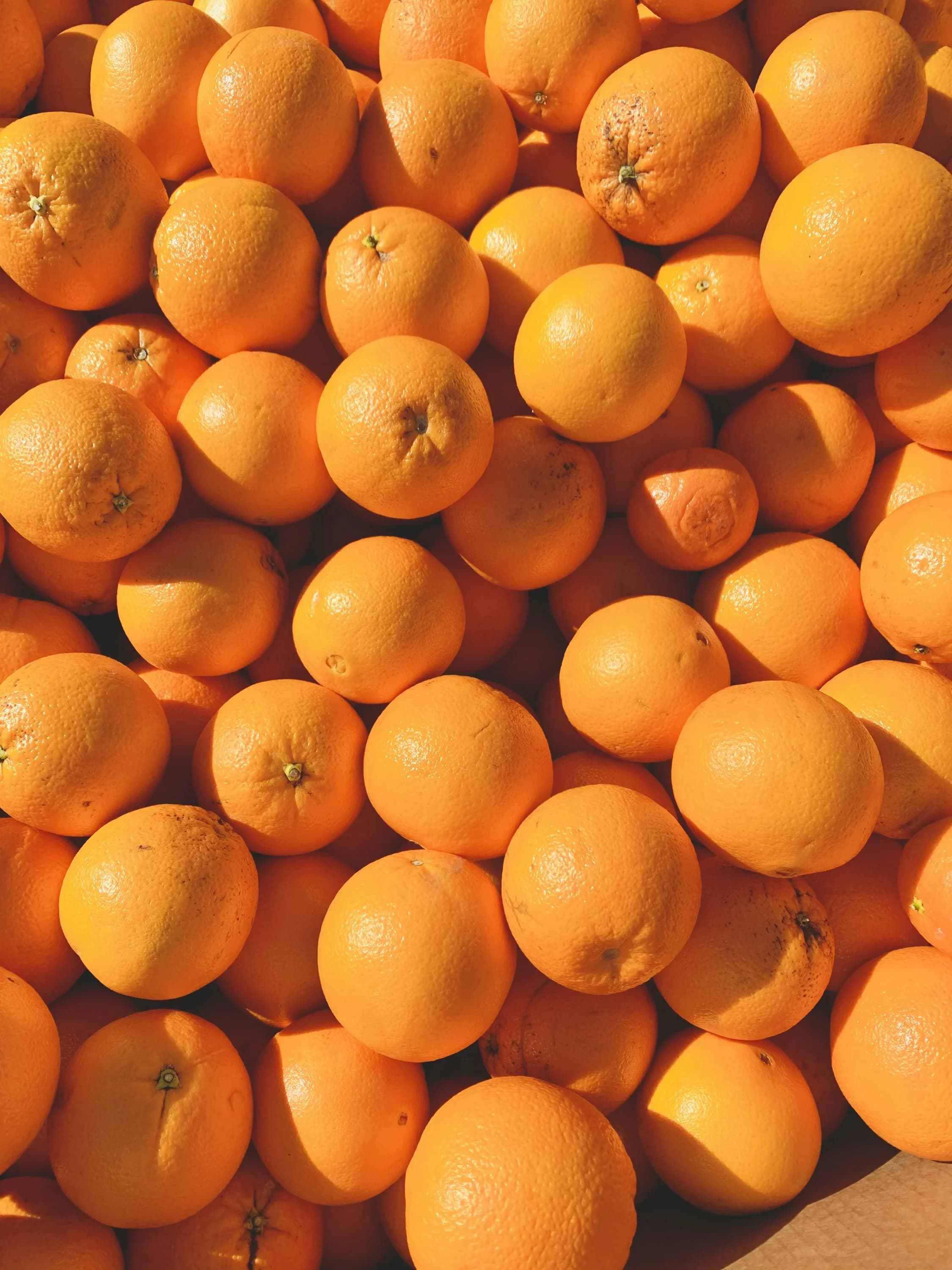 Premium Pakistani citrus