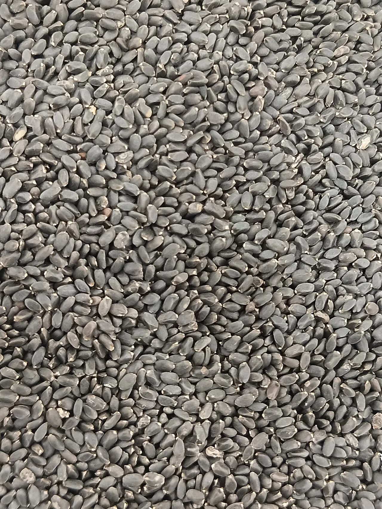 Black Sesame Seeds